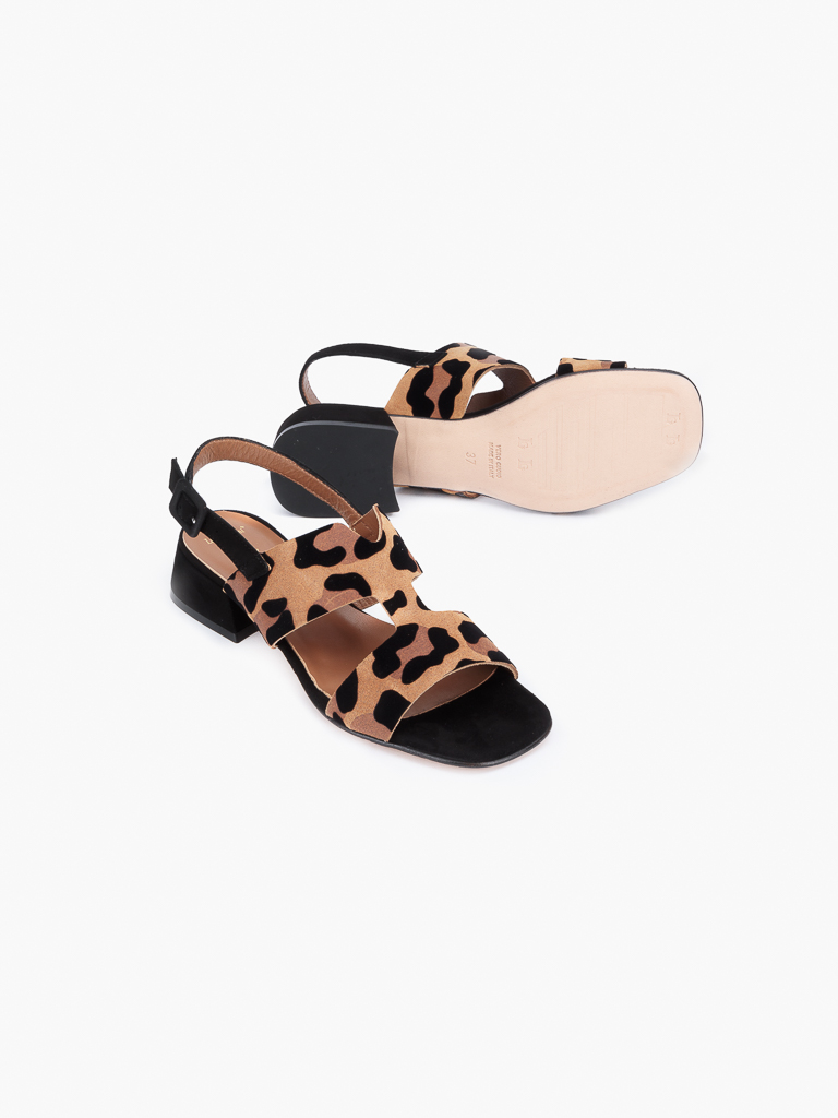 Quinzia059 Leopard